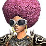 Savaşçı Afro (d) Metin2 eşya ikonu